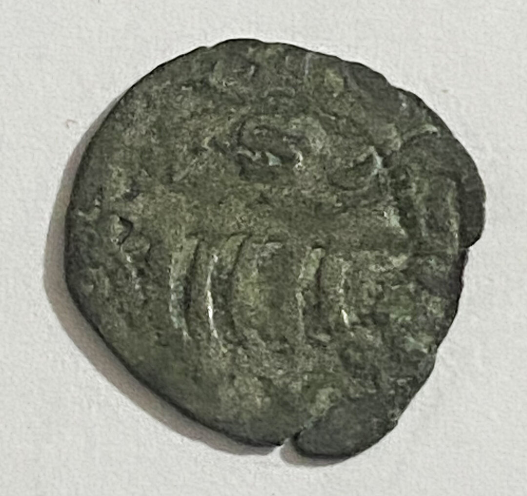 Dritto moneta