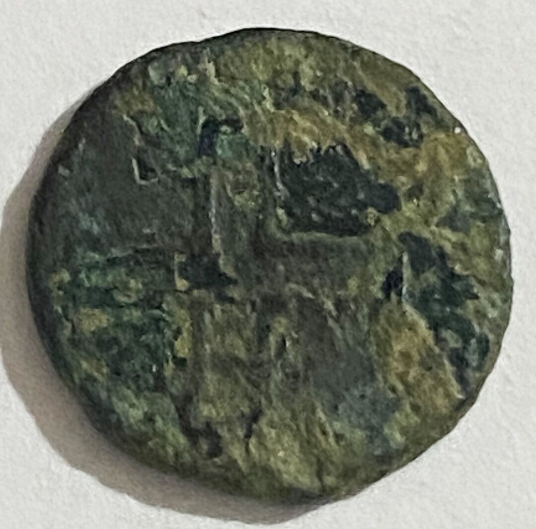 Rovescio moneta