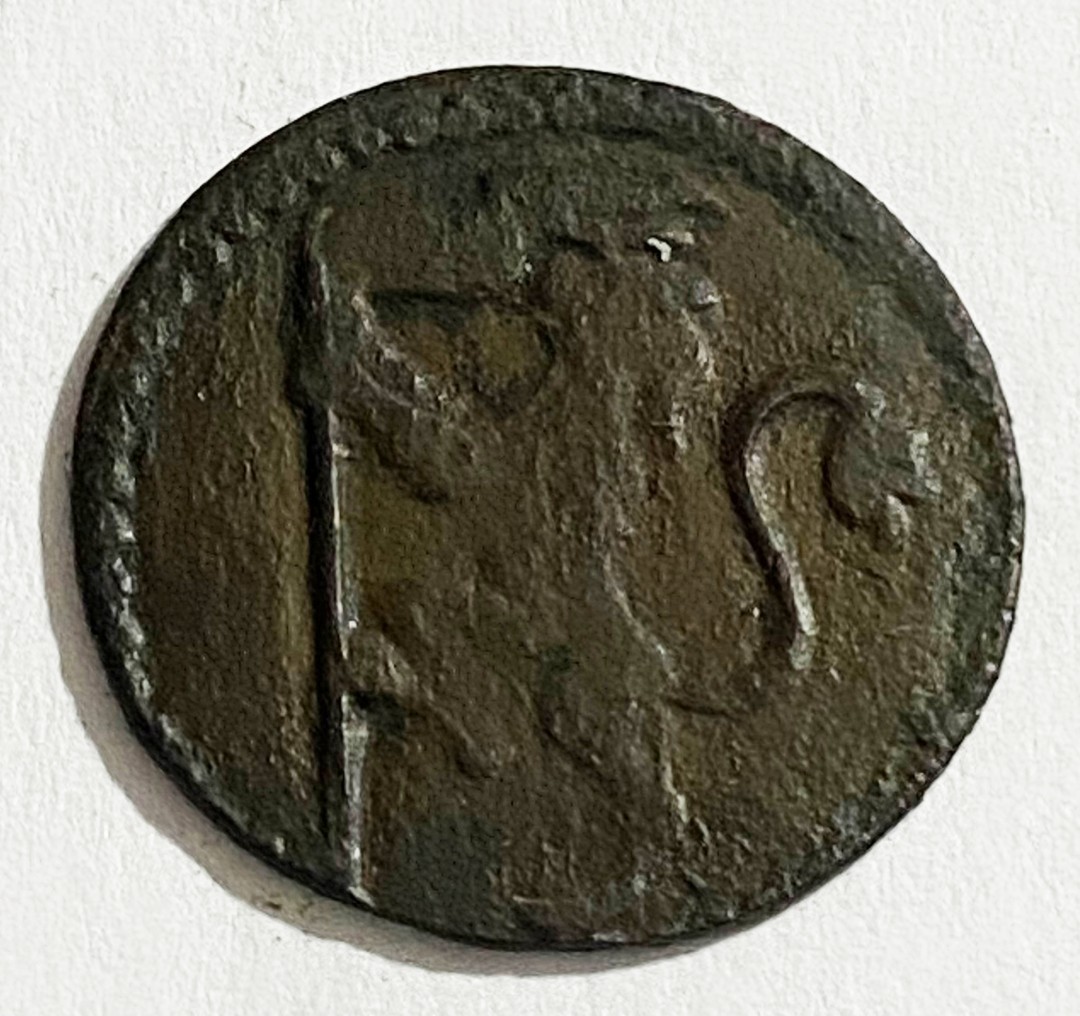 Dritto moneta