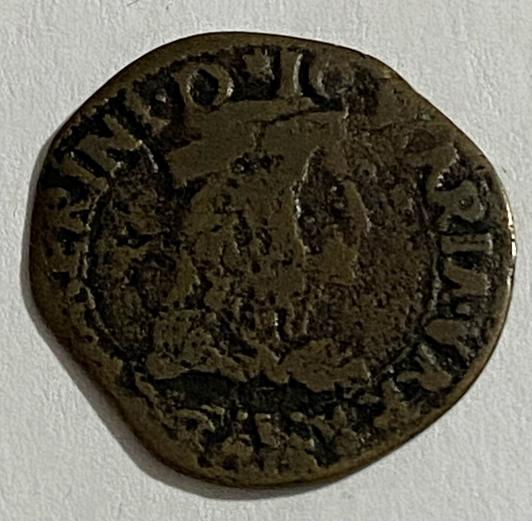 Dritto moneta
