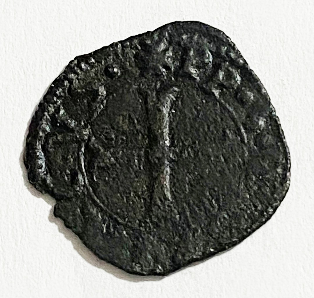 Rovescio moneta