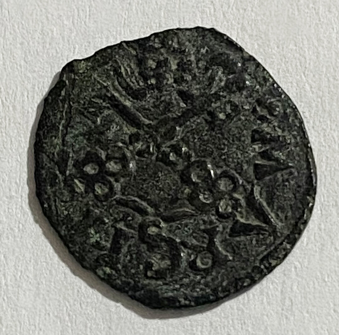 Dritto moneta