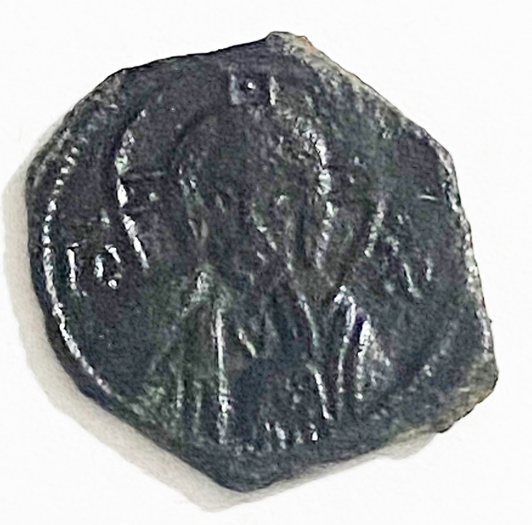 Dritto moneta