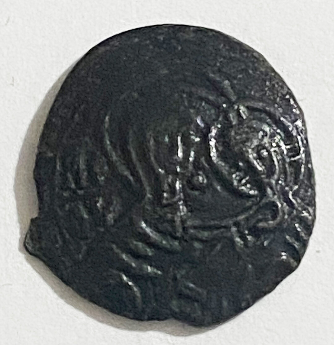 Dritto moneta