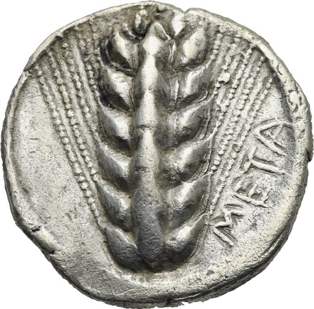 Dritto moneta