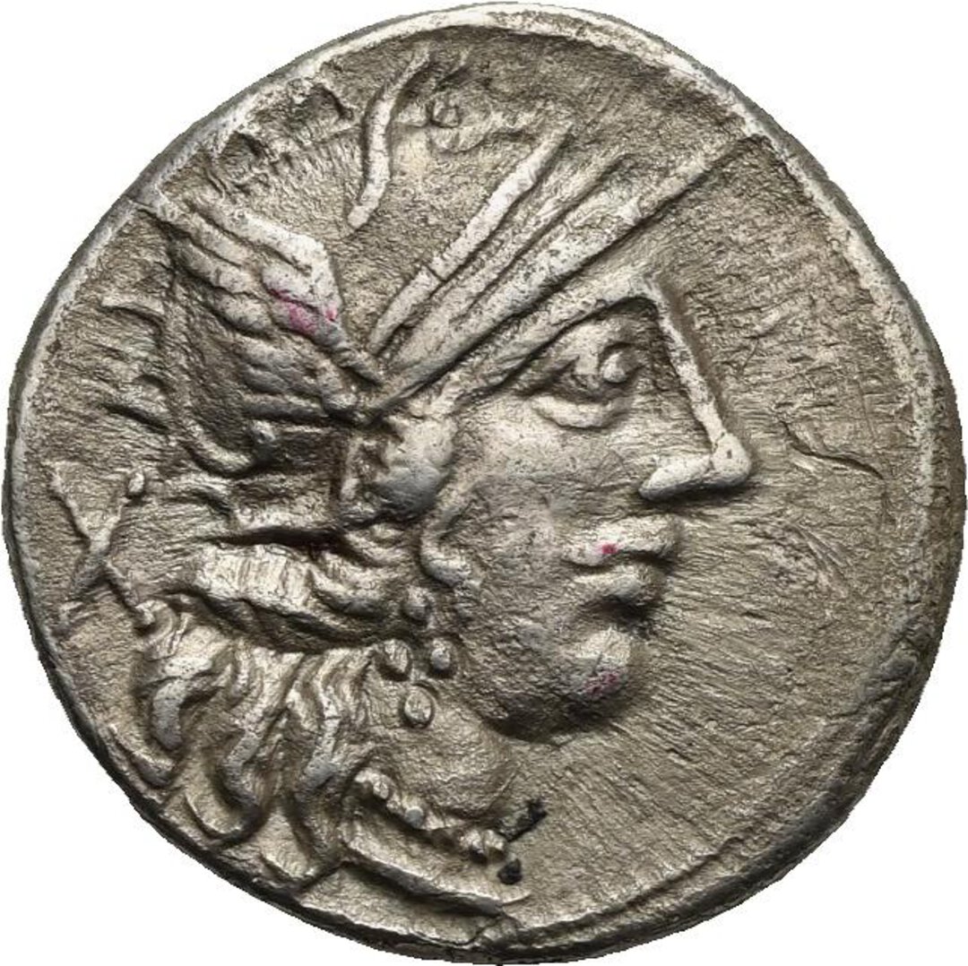 Dritto moneta