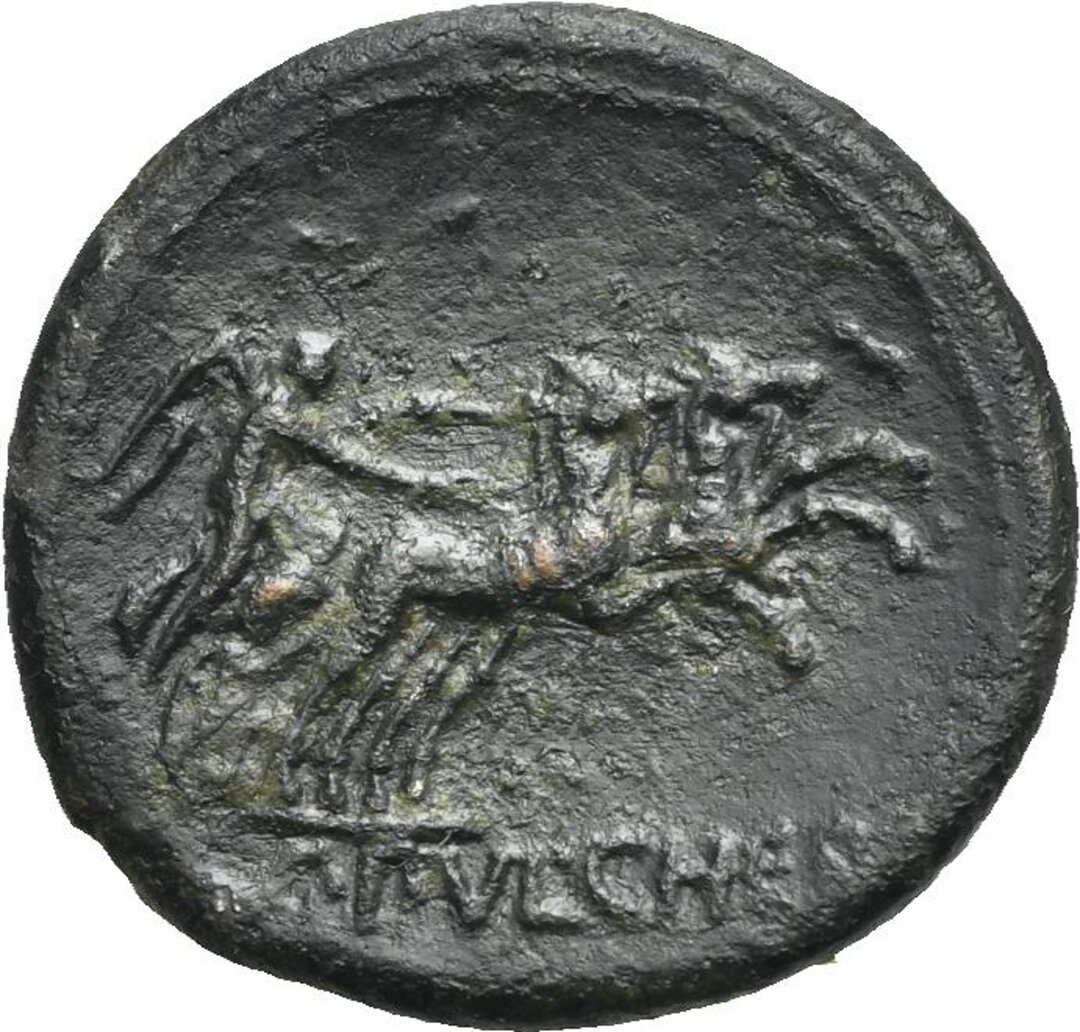 Rovescio moneta
