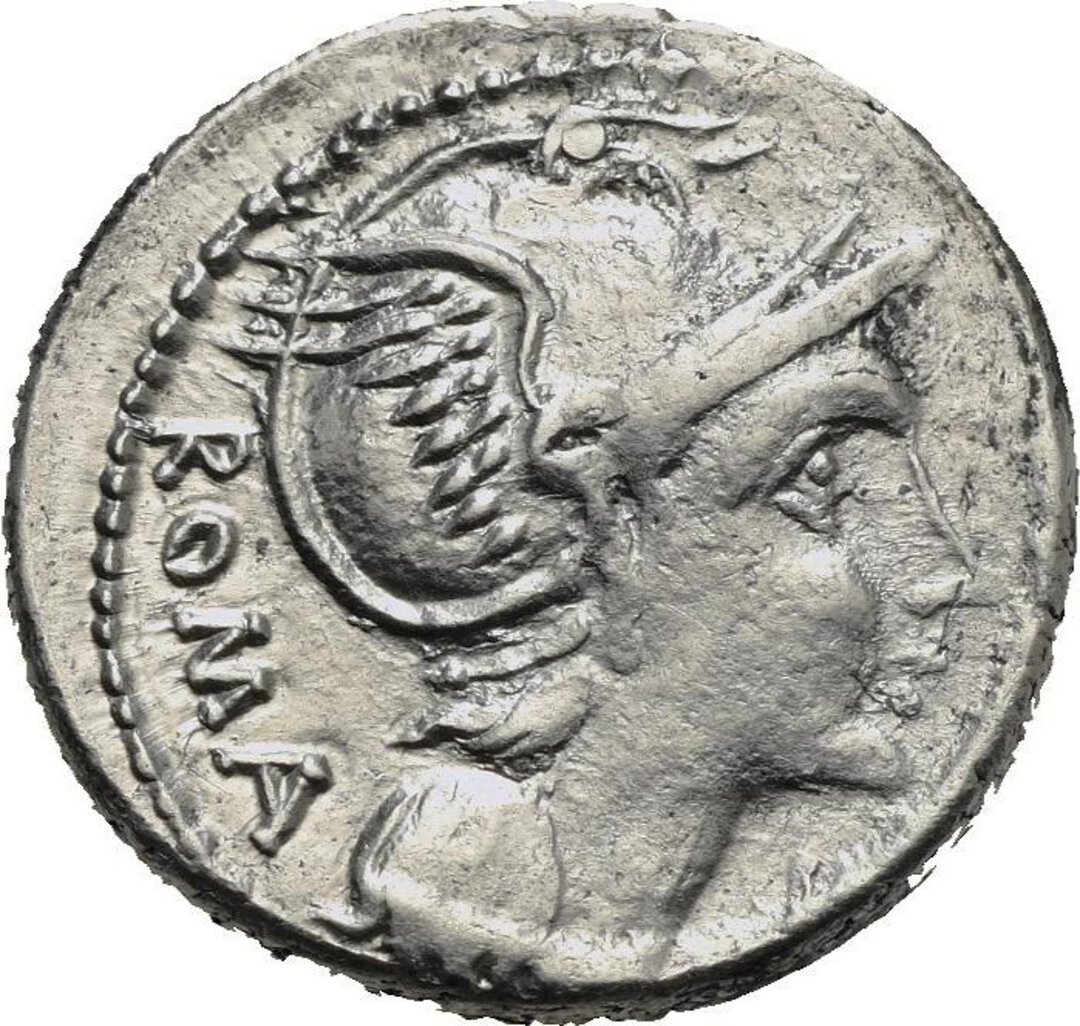 Dritto moneta