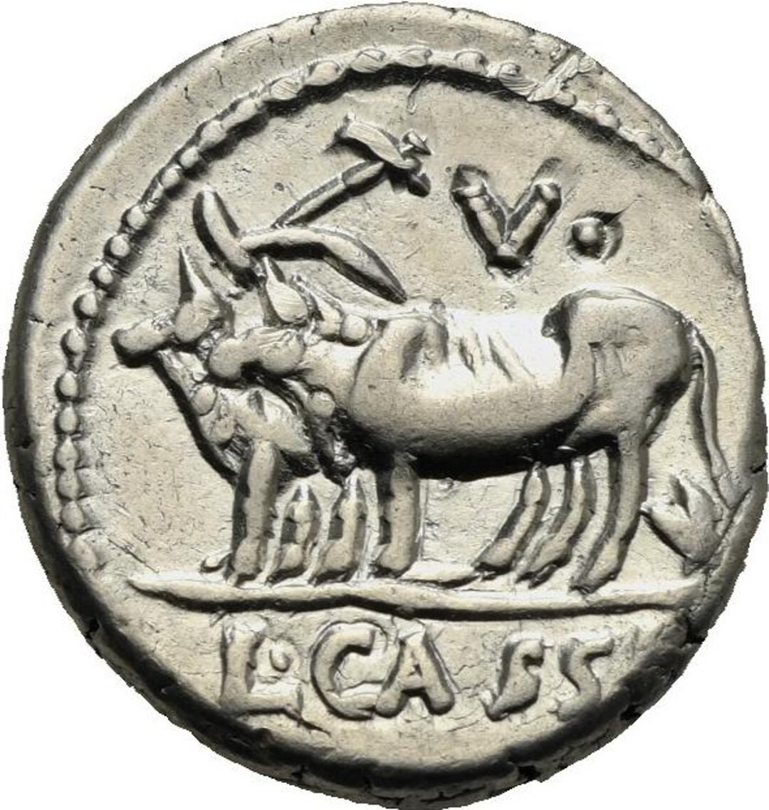 Rovescio moneta