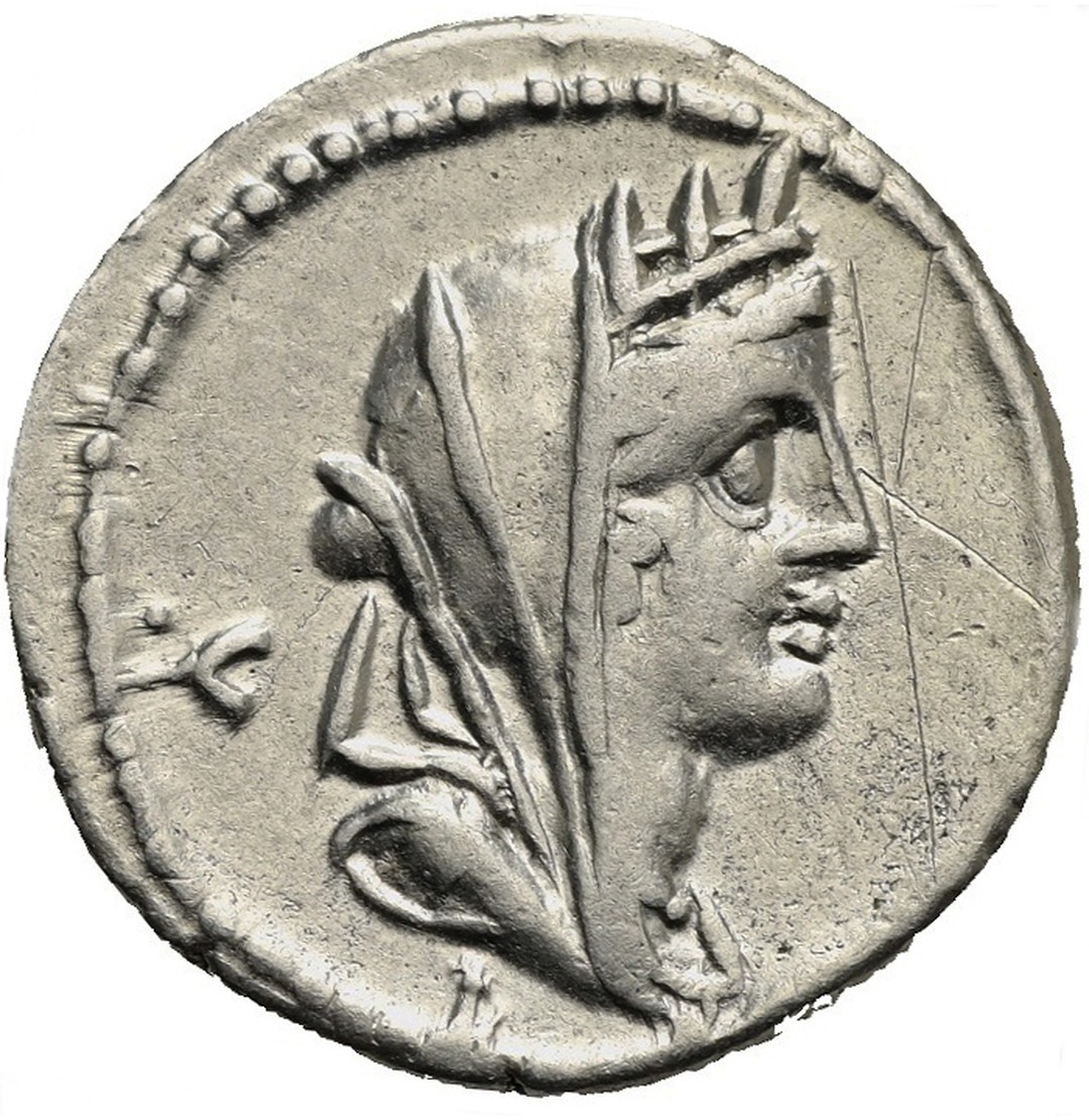 Dritto moneta