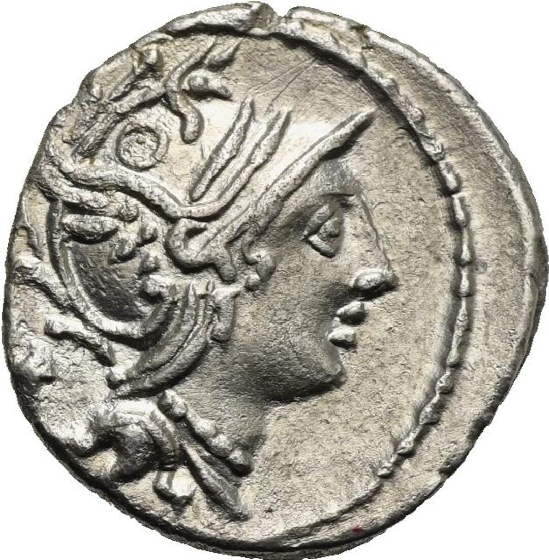 Dritto moneta