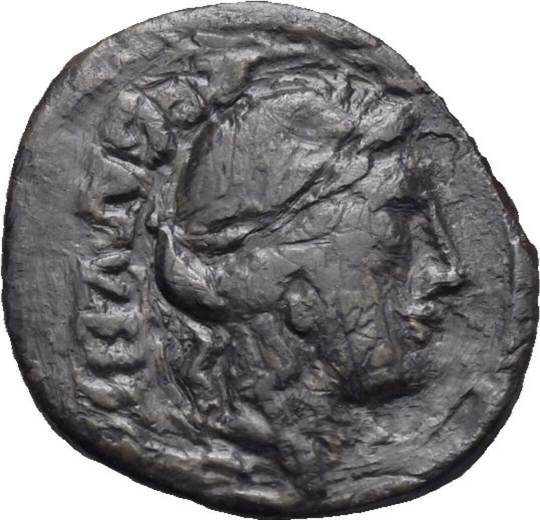 Dritto moneta