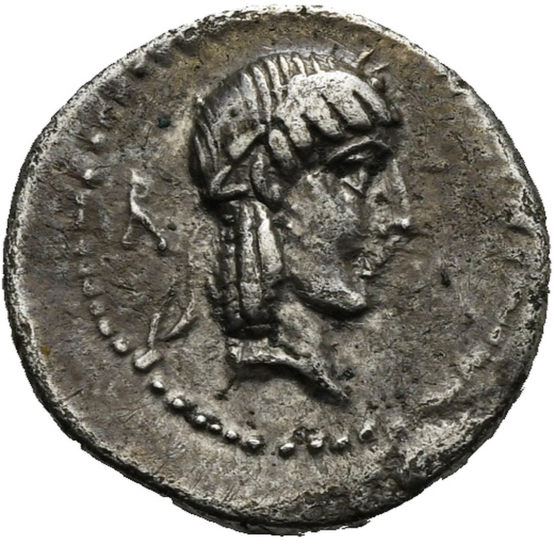 Dritto moneta