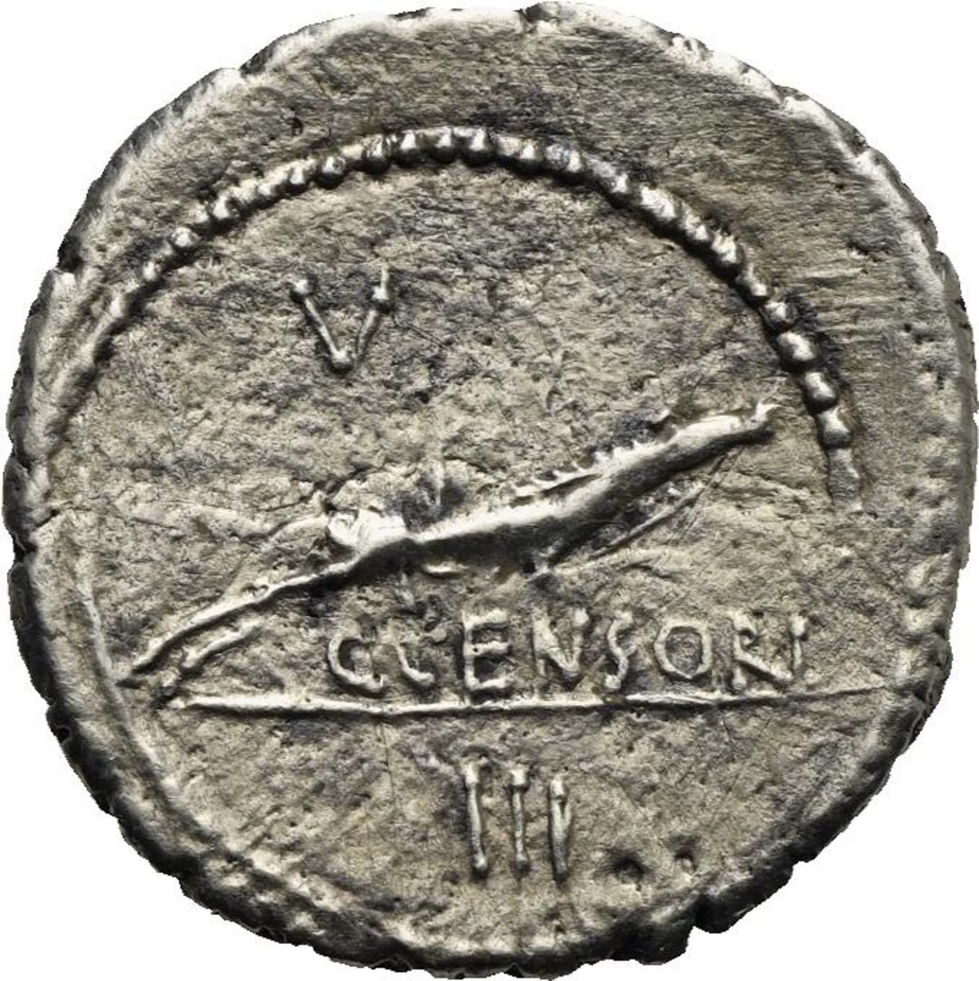 Rovescio moneta
