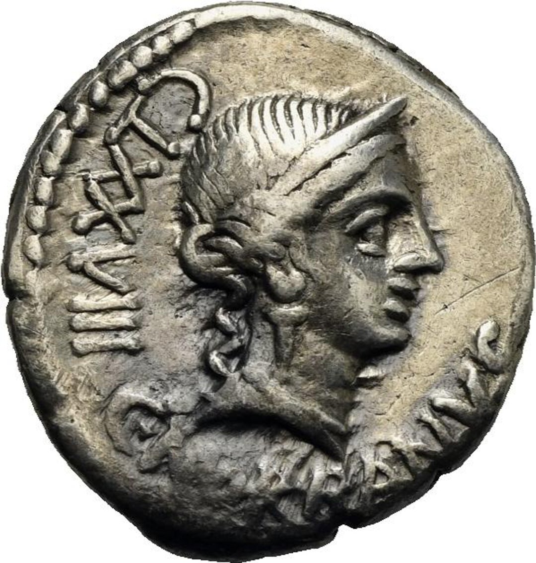 Dritto moneta