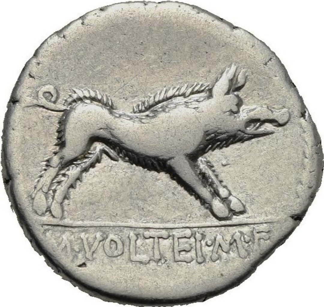 Rovescio moneta