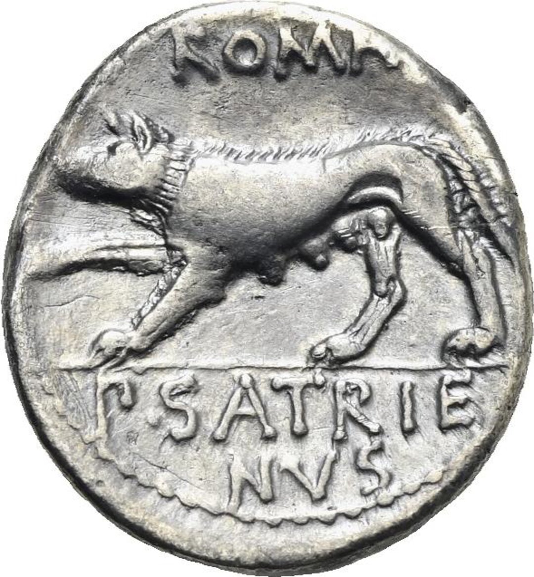 Rovescio moneta