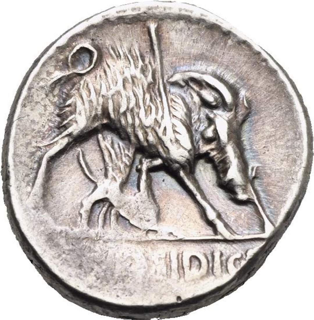 Rovescio moneta