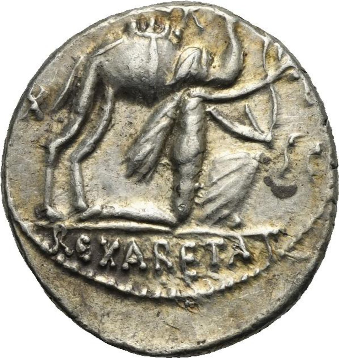Dritto moneta