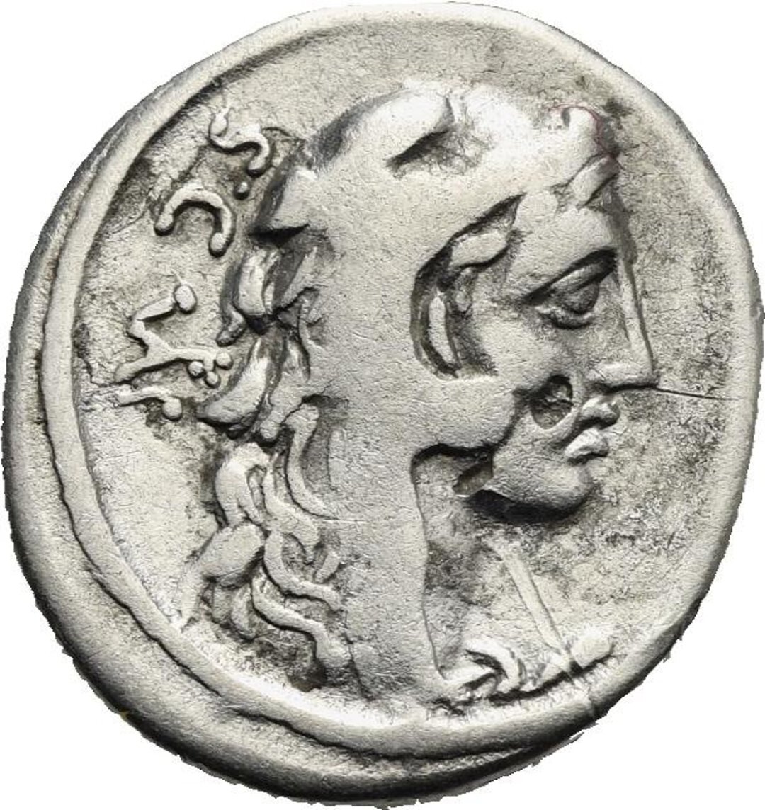 Dritto moneta