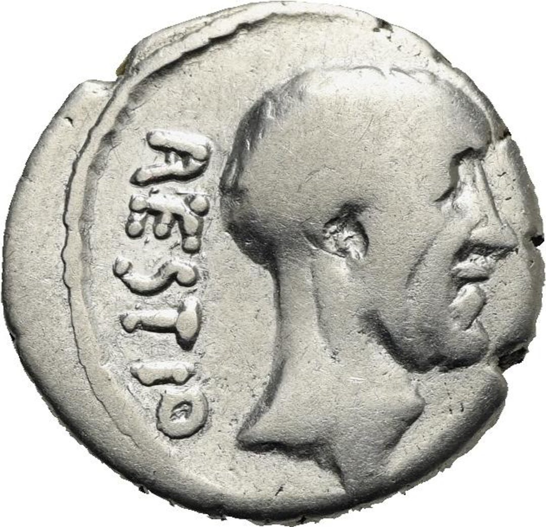 Dritto moneta