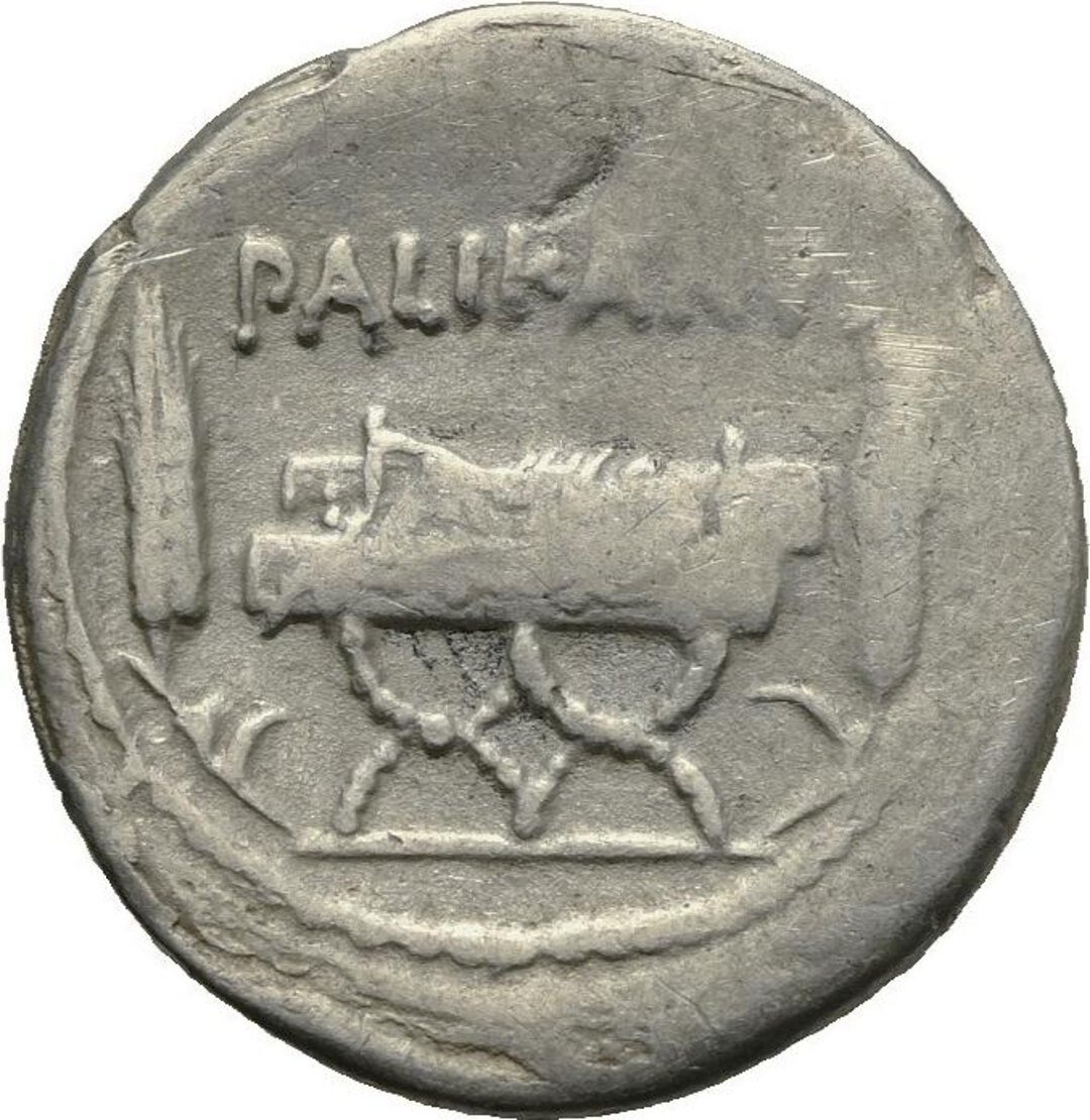 Rovescio moneta
