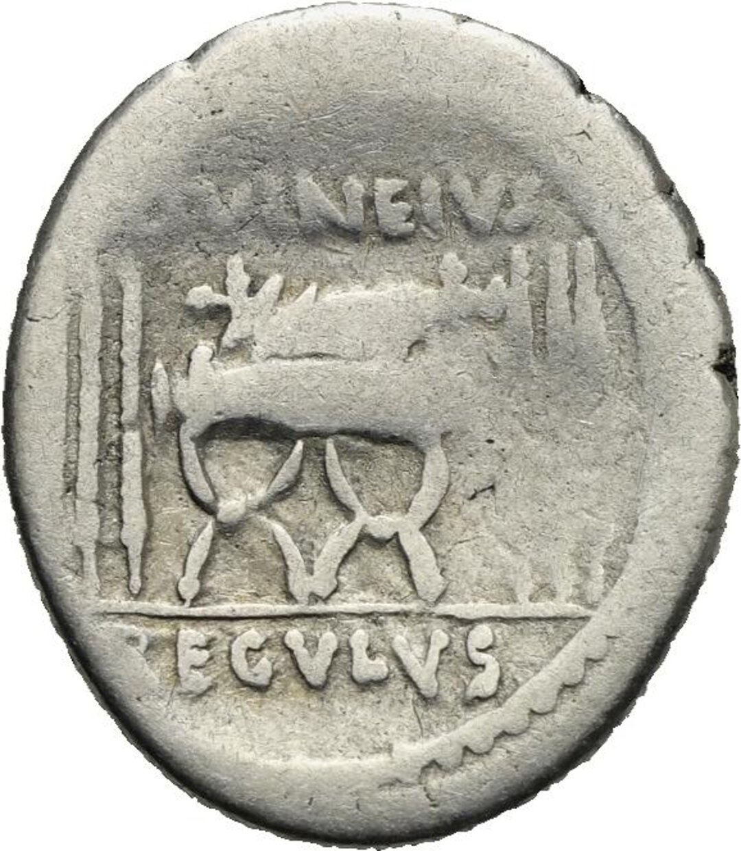Rovescio moneta