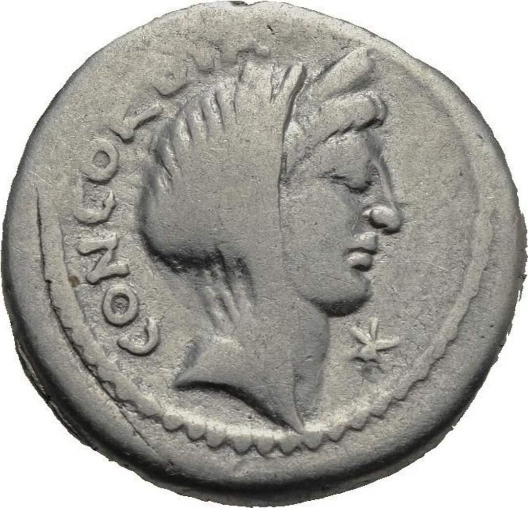 Dritto moneta