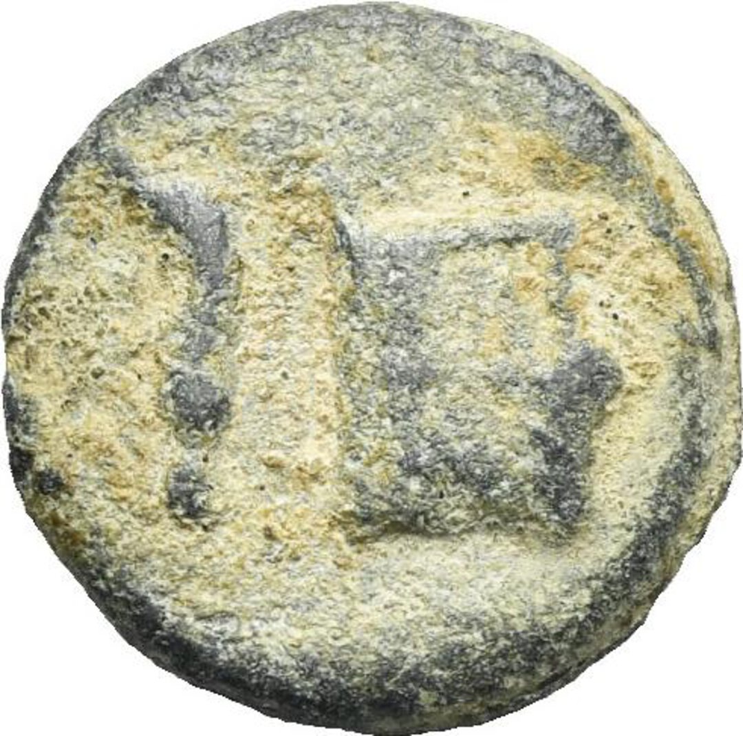 Dritto moneta