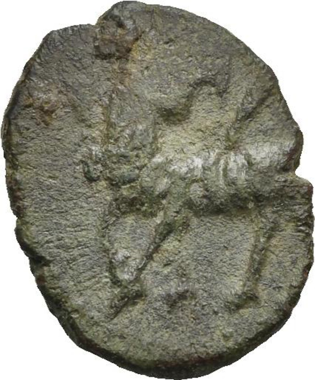 Dritto moneta