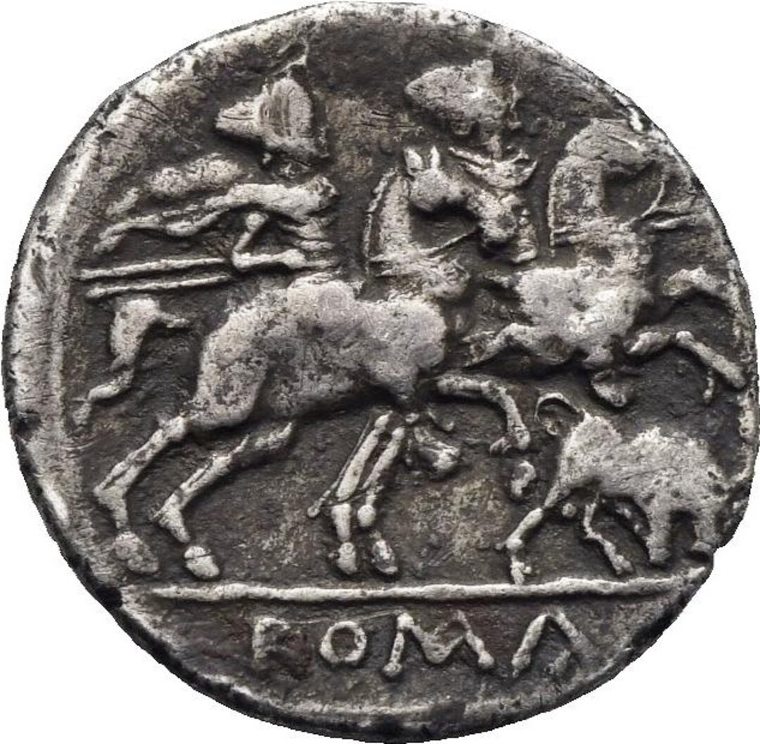 Rovescio moneta