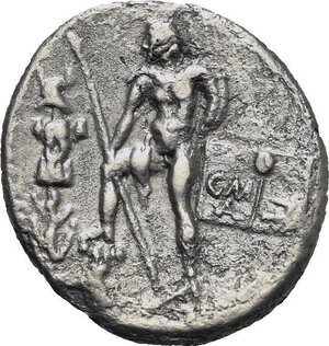 Reverse image
