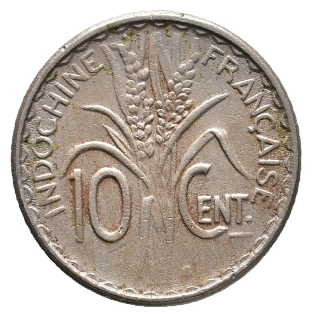 Dritto moneta