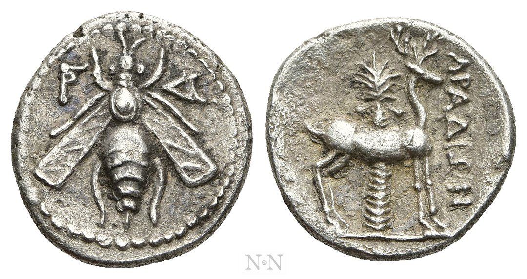Dritto moneta