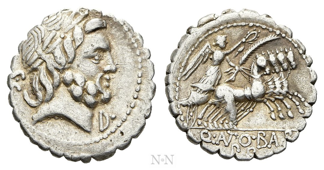 Dritto moneta