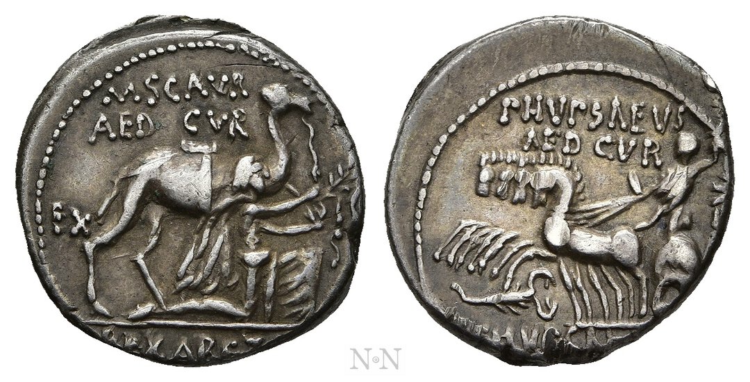 Dritto moneta