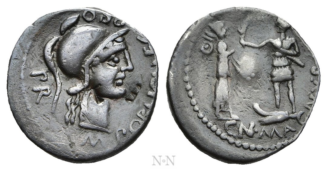 Dritto moneta