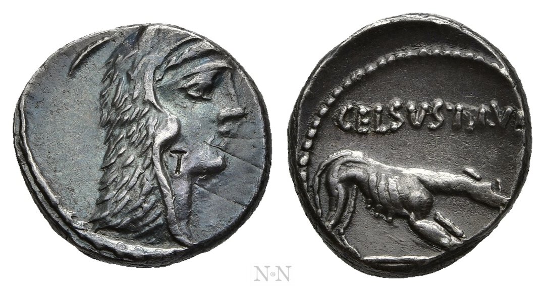 Dritto moneta