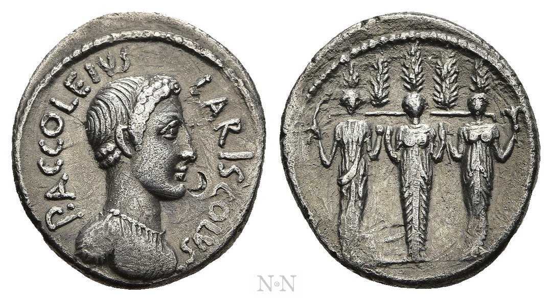 Dritto moneta