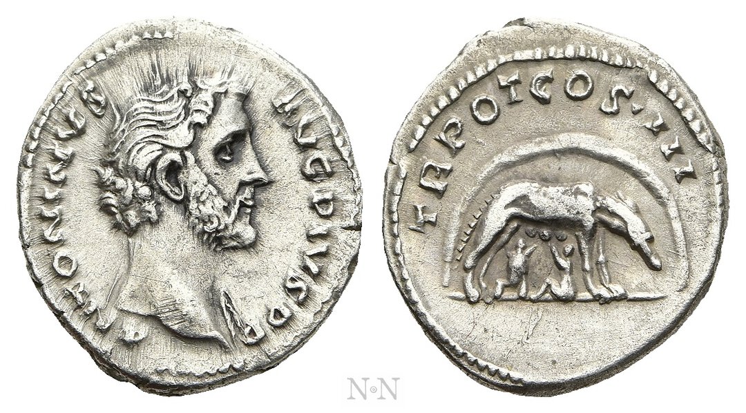 Dritto moneta
