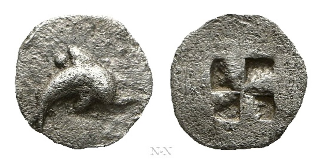 Dritto moneta