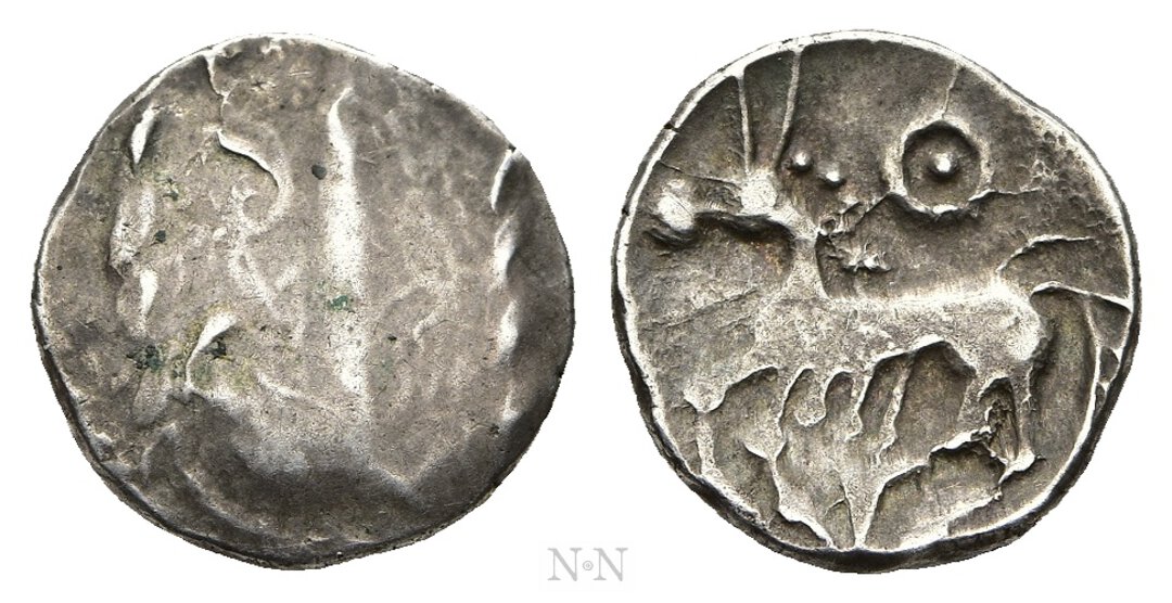 Dritto moneta