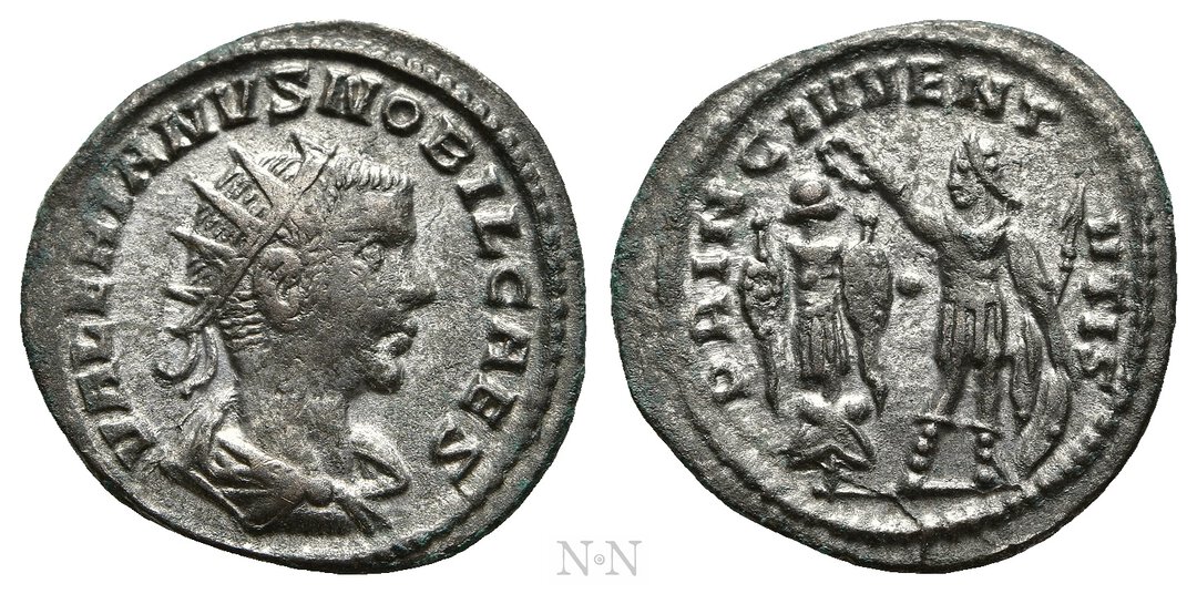 Dritto moneta