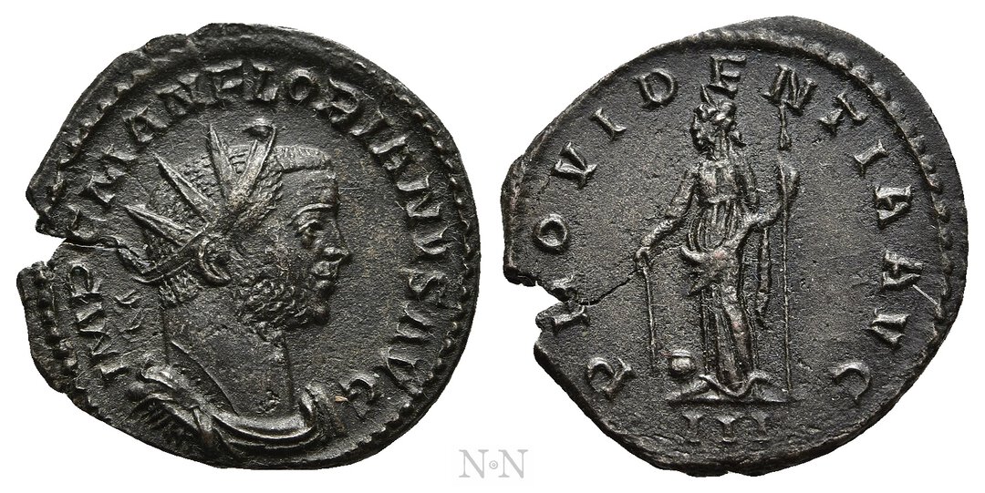 Dritto moneta