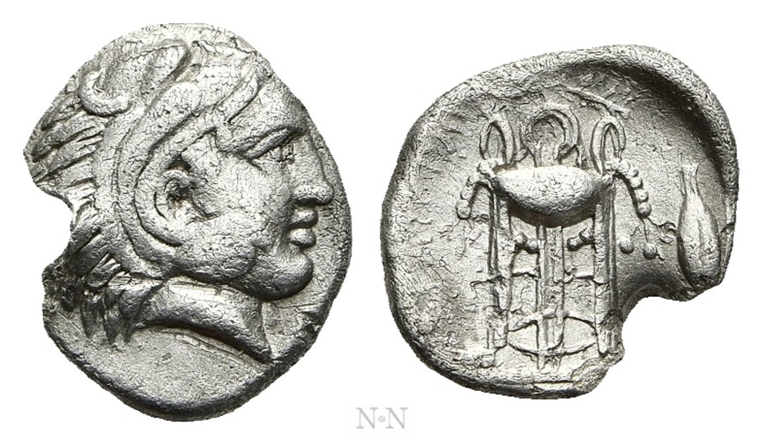 Dritto moneta