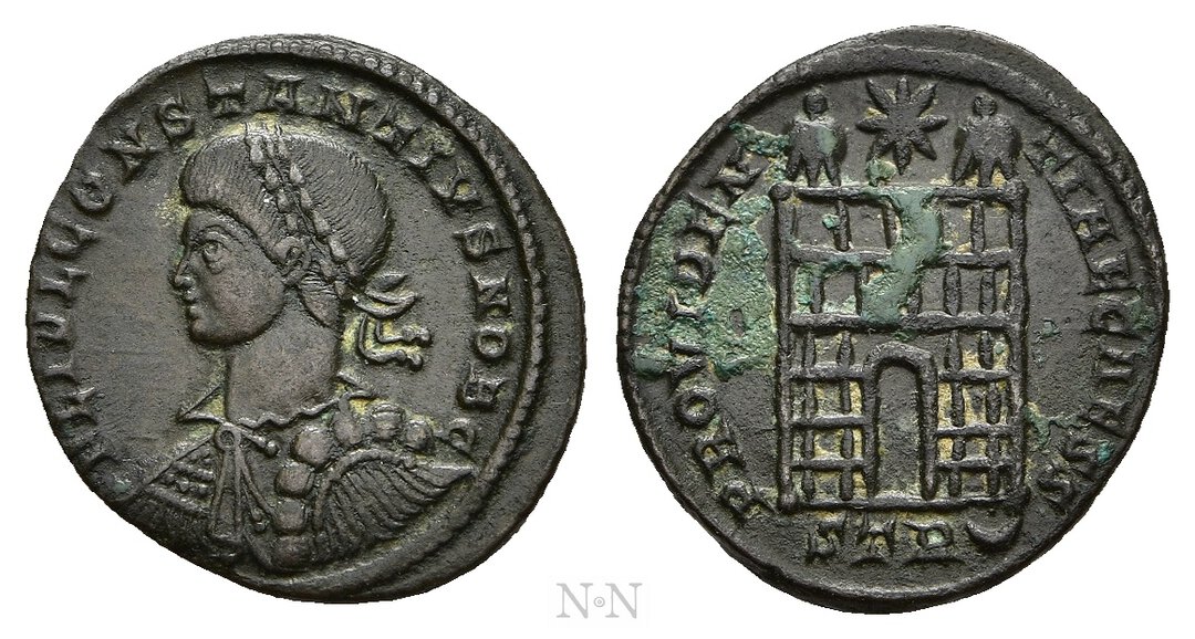 Dritto moneta