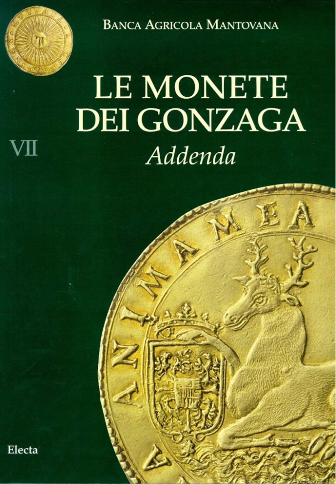 Dritto moneta