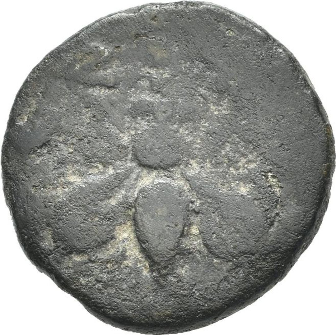 Dritto moneta