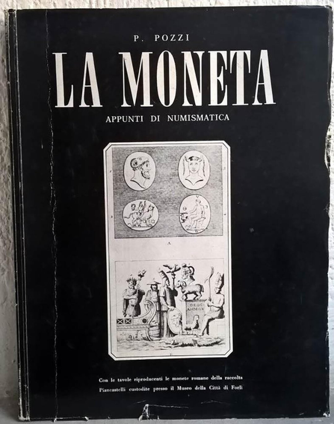 Dritto moneta