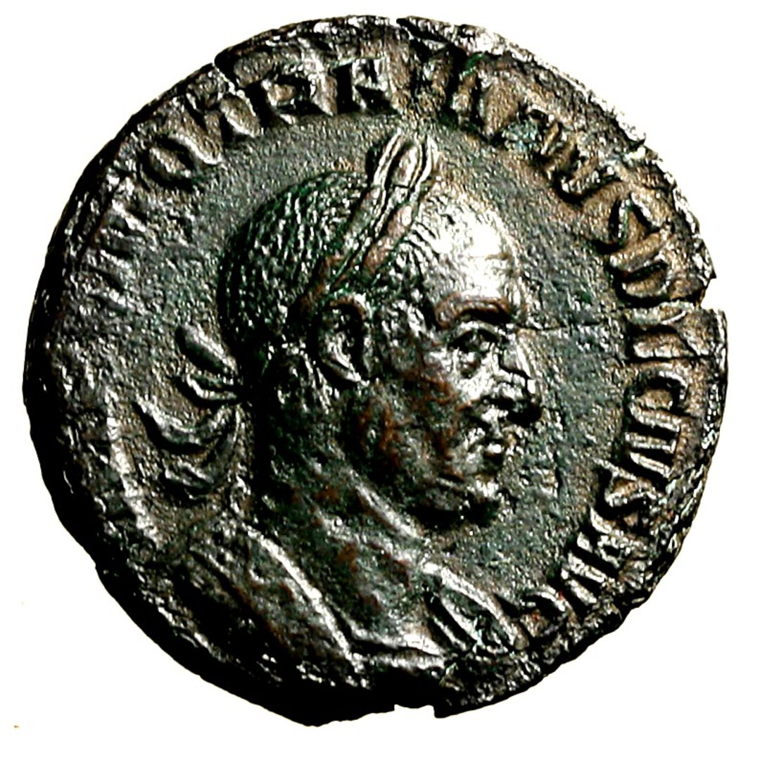 Dritto moneta